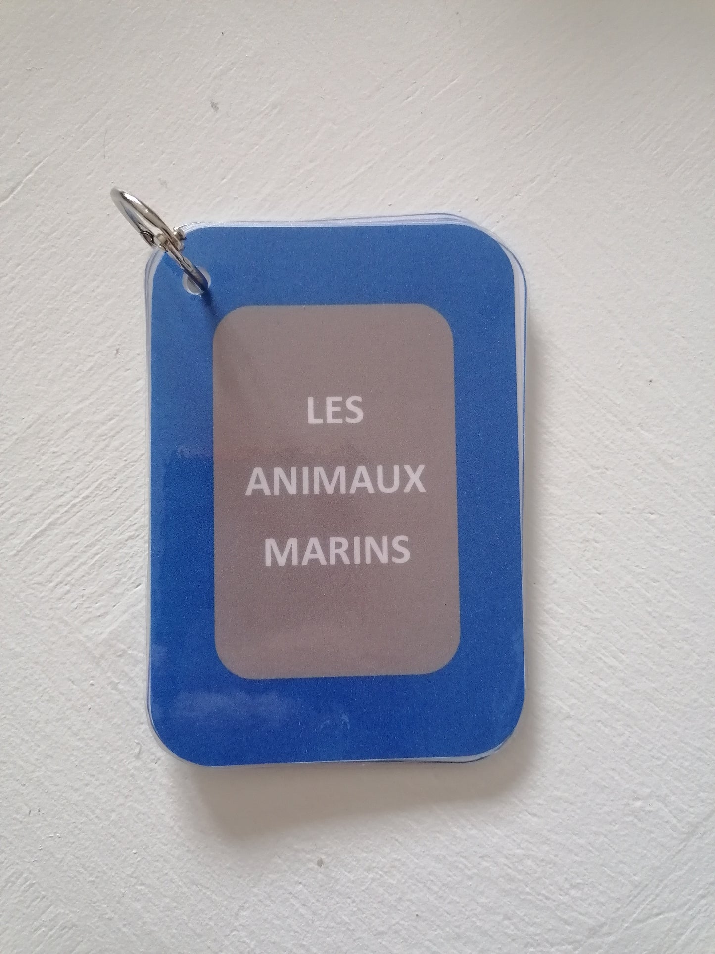 Les Animaux Marins