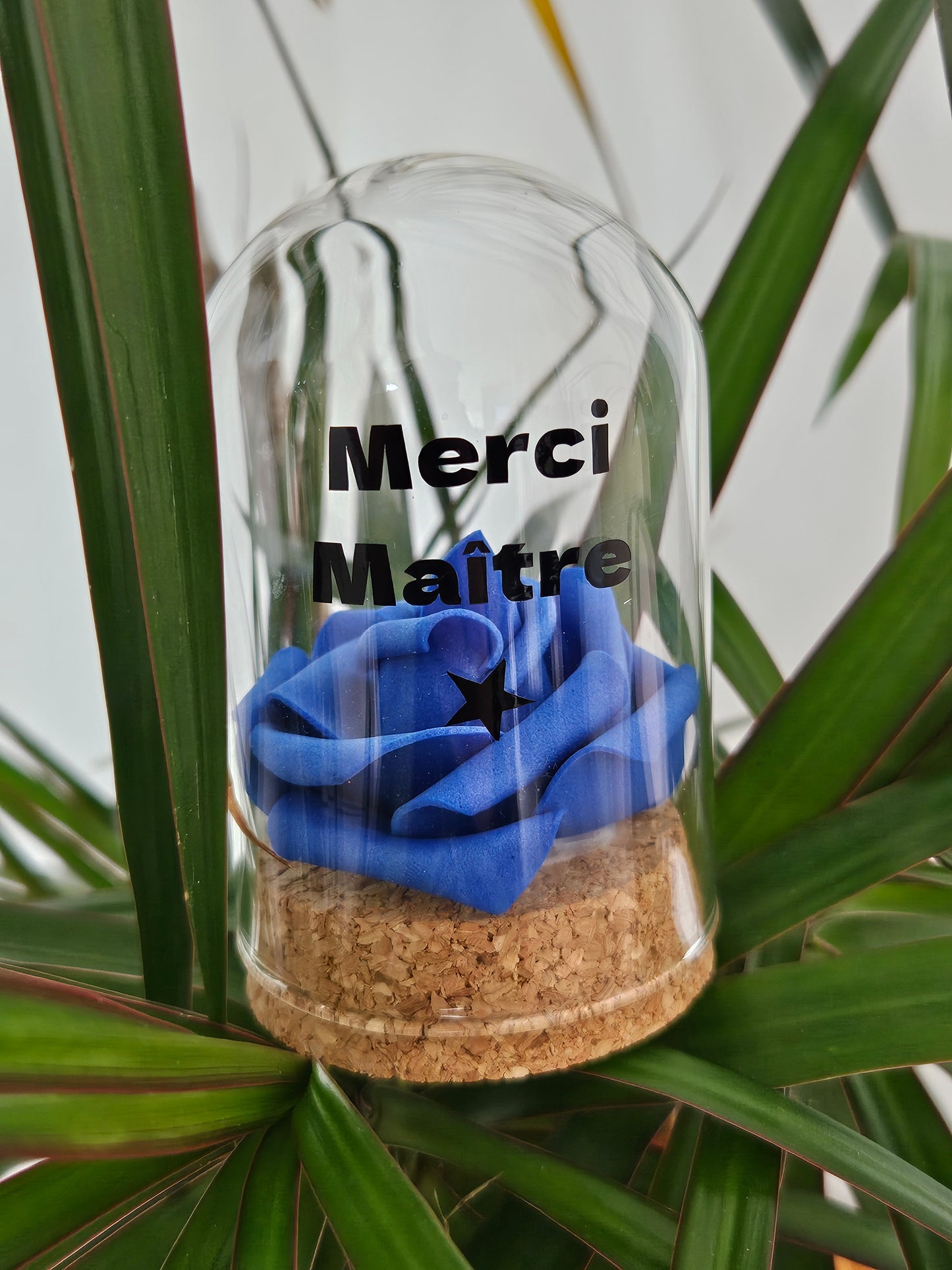 Petite cloche en verre